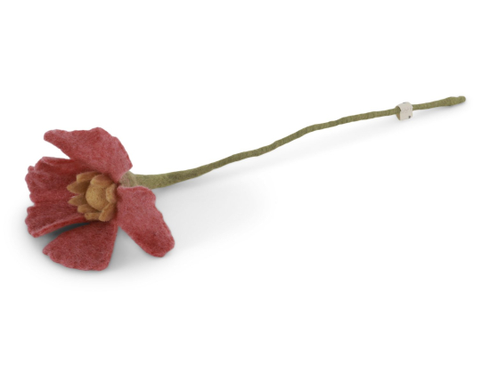 POPPY FLOWER