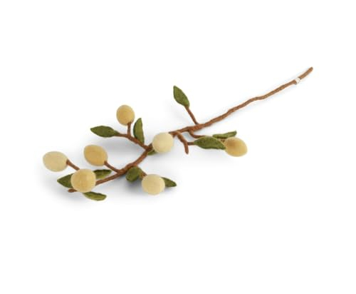 BRANCHE DE CITRON