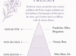 FREESIA DELICE