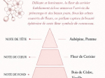 FLEUR DE CERISIER