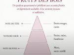 FRUIT DES BOIS