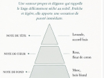 VOILE DE LIN