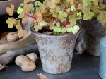 GRAND MODELE - H 12,5CM / D 14,5CM