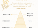 DÉCOR PARFUMÉ PETIT MODÈLE - MATHILDE M