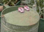 BOUCLES D'OREILLES PUCES FLEUR DE PENSÉE - NACH