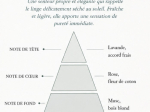 VOILE DE LIN