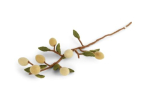 BRANCHE DE CITRONNIER EN LAINE FEUTRÉE GRY & SIF
