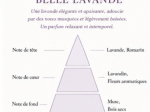 BOUQUET-BELLE LAVANDE