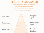 FLEUR D'ORANGER