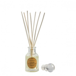 DIFFUSEUR DE PARFUM D'AMBIANCE  LES INTEMPORELLES - 30 ML