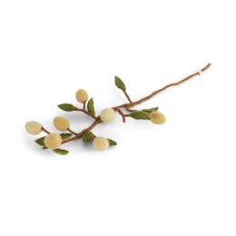 BRANCHE DE CITRON