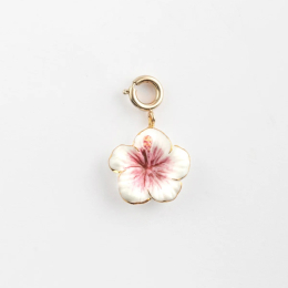 MAXI CHARM'S FLEUR D'HIBISCUS - NACH